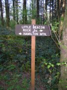 4.30.06 Hamilton Mountain 115